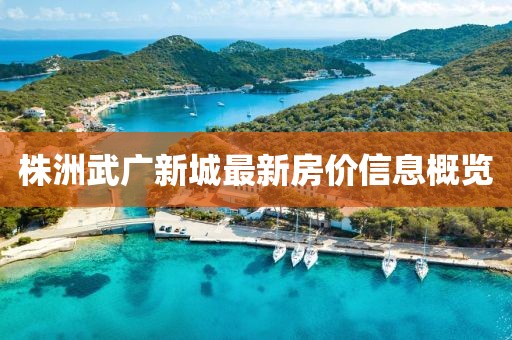 株洲武廣新城最新房價信息概覽