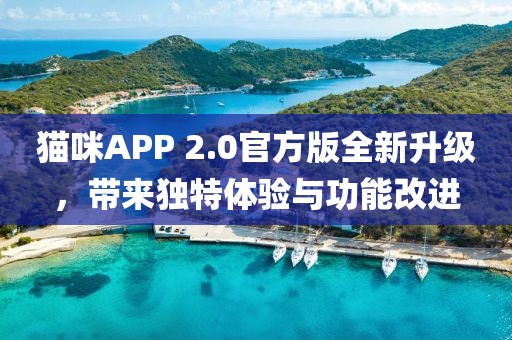 貓咪APP 2.0官方版全新升級(jí)，帶來獨(dú)特體驗(yàn)與功能改進(jìn)
