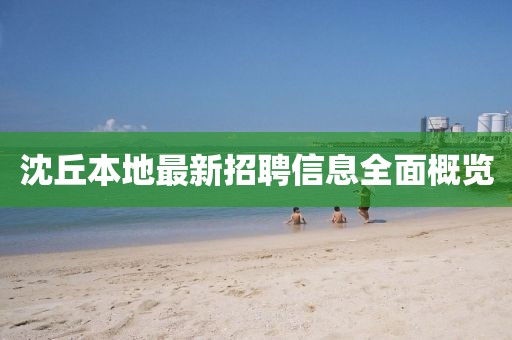 沈丘本地最新招聘信息全面概覽