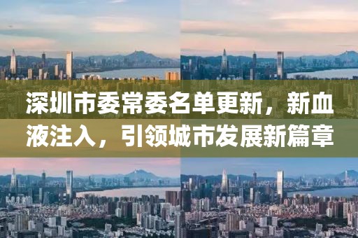 深圳市委常委名單更新，新血液注入，引領(lǐng)城市發(fā)展新篇章