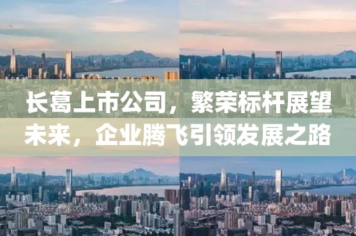 長(zhǎng)葛上市公司，繁榮標(biāo)桿展望未來(lái)，企業(yè)騰飛引領(lǐng)發(fā)展之路