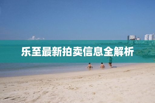 樂至最新拍賣信息全解析