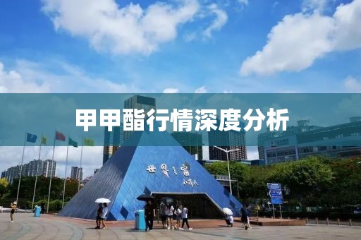 甲甲酯行情深度分析