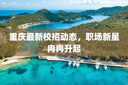 重慶最新校招動態(tài)，職場新星冉冉升起