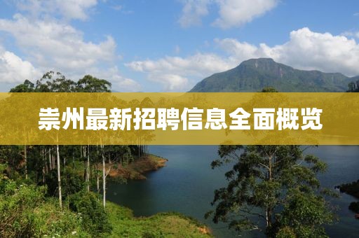 祟州最新招聘信息全面概覽