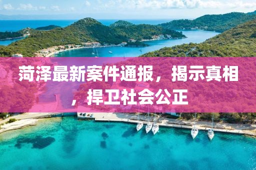 菏澤最新案件通報，揭示真相，捍衛(wèi)社會公正
