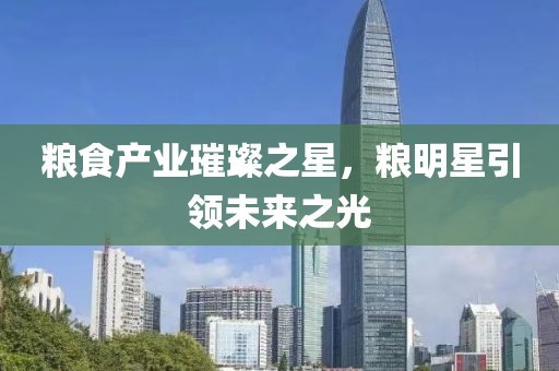 糧食產(chǎn)業(yè)璀璨之星，糧明星引領(lǐng)未來之光
