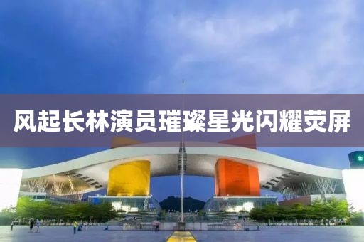 風(fēng)起長林演員璀璨星光閃耀熒屏