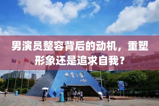 男演員整容背后的動機(jī)，重塑形象還是追求自我？
