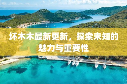 壞木木最新更新，探索未知的魅力與重要性