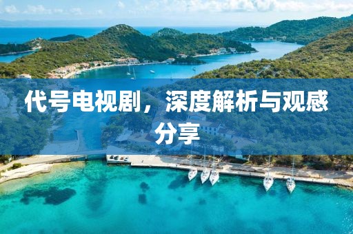 代號電視劇，深度解析與觀感分享