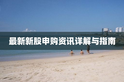 最新新股申購資訊詳解與指南