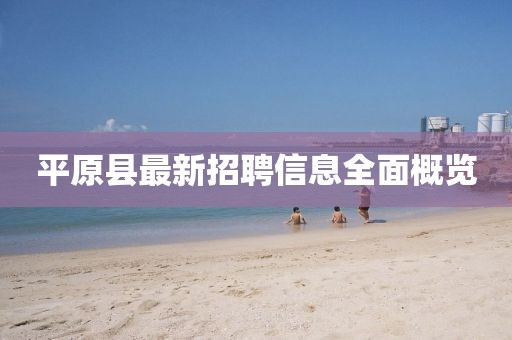 平原縣最新招聘信息全面概覽