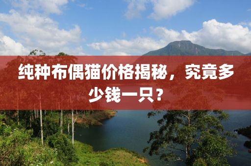 純種布偶貓價(jià)格揭秘，究竟多少錢一只？