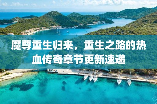 魔尊重生歸來，重生之路的熱血傳奇章節(jié)更新速遞