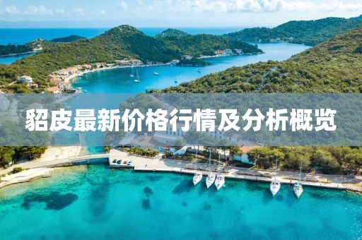 貂皮最新價格行情及分析概覽