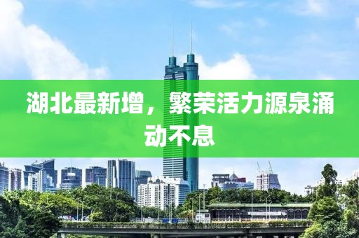 湖北最新增，繁榮活力源泉涌動不息