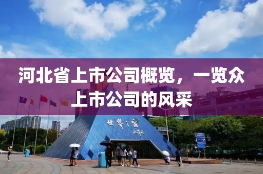 河北省上市公司概覽，一覽眾上市公司的風(fēng)采