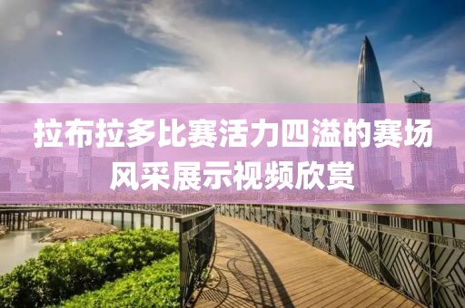 拉布拉多比賽活力四溢的賽場風采展示視頻欣賞