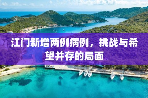 江門(mén)新增兩例病例，挑戰(zhàn)與希望并存的局面