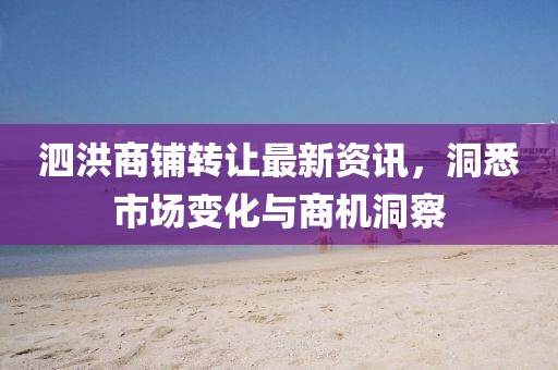 泗洪商鋪轉(zhuǎn)讓最新資訊，洞悉市場(chǎng)變化與商機(jī)洞察