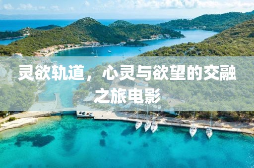 靈欲軌道，心靈與欲望的交融之旅電影