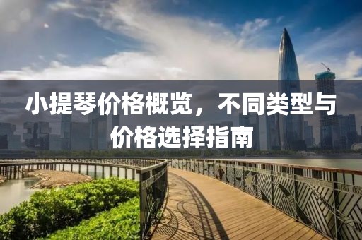 小提琴價(jià)格概覽，不同類型與價(jià)格選擇指南