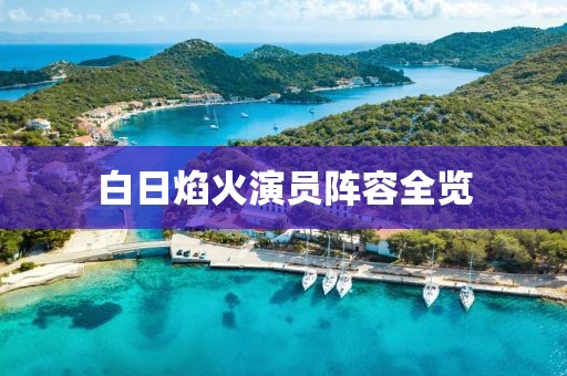白日焰火演員陣容全覽