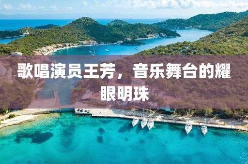 歌唱演員王芳，音樂(lè)舞臺(tái)的耀眼明珠