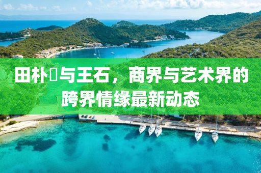 田樸珺與王石，商界與藝術(shù)界的跨界情緣最新動(dòng)態(tài)