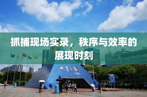 抓捕現(xiàn)場(chǎng)實(shí)錄，秩序與效率的展現(xiàn)時(shí)刻