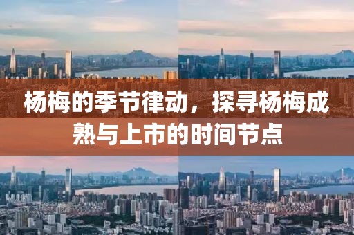 楊梅的季節(jié)律動，探尋楊梅成熟與上市的時間節(jié)點
