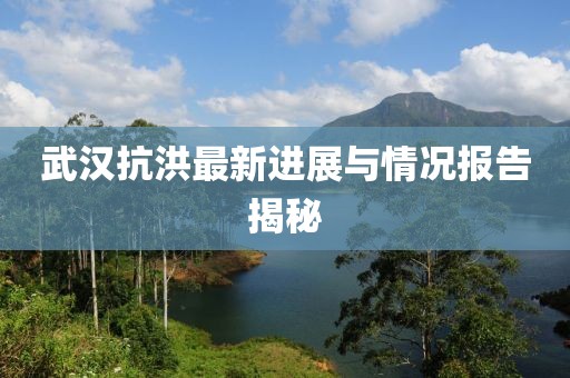 武漢抗洪最新進(jìn)展與情況報(bào)告揭秘