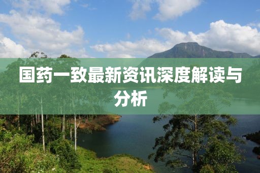 國(guó)藥一致最新資訊深度解讀與分析