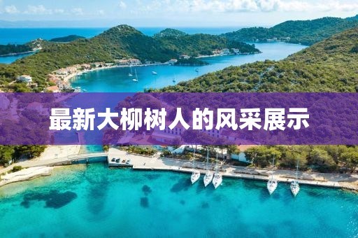 最新大柳樹人的風采展示