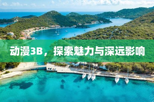 動(dòng)漫3B，探索魅力與深遠(yuǎn)影響