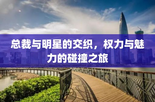 總裁與明星的交織，權(quán)力與魅力的碰撞之旅