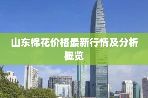 山東棉花價格最新行情及分析概覽