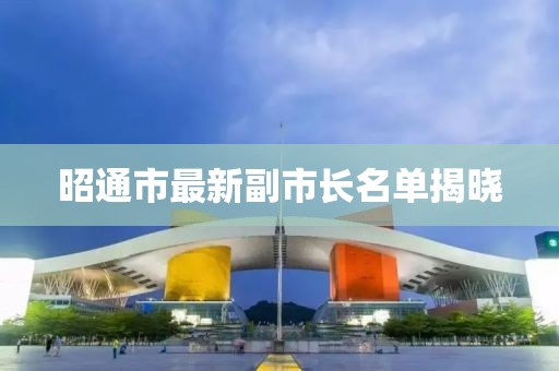 昭通市最新副市長名單揭曉