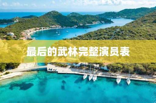 最后的武林完整演員表