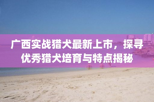 廣西實(shí)戰(zhàn)獵犬最新上市，探尋優(yōu)秀獵犬培育與特點(diǎn)揭秘