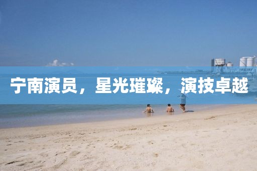 寧南演員，星光璀璨，演技卓越
