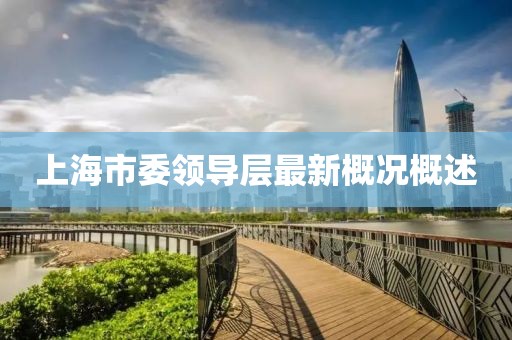 上海市委領(lǐng)導層最新概況概述
