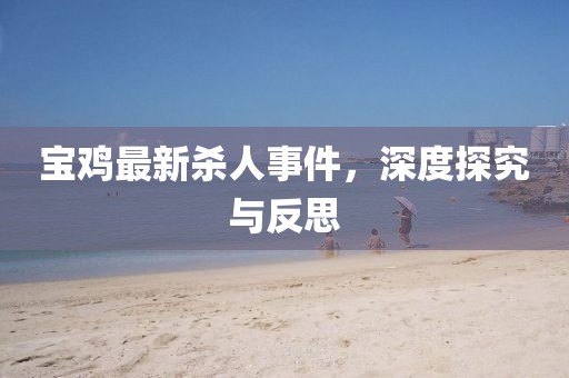 寶雞最新殺人事件，深度探究與反思