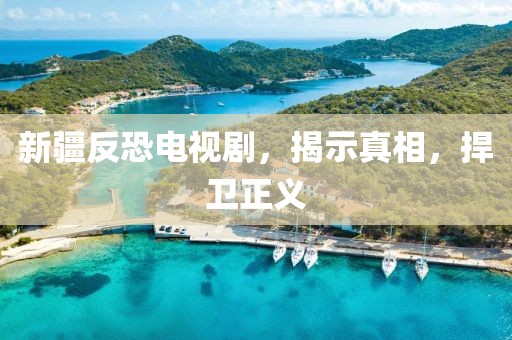 新疆反恐電視劇，揭示真相，捍衛(wèi)正義