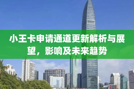 小王卡申請(qǐng)通道更新解析與展望，影響及未來(lái)趨勢(shì)