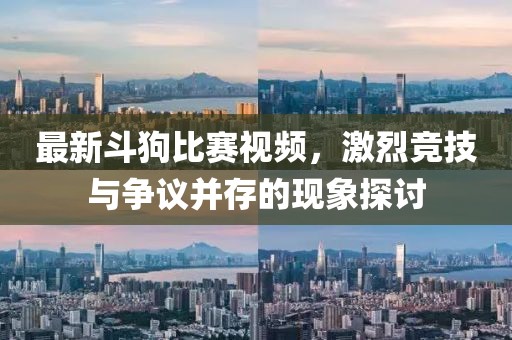 最新斗狗比賽視頻，激烈競技與爭議并存的現(xiàn)象探討
