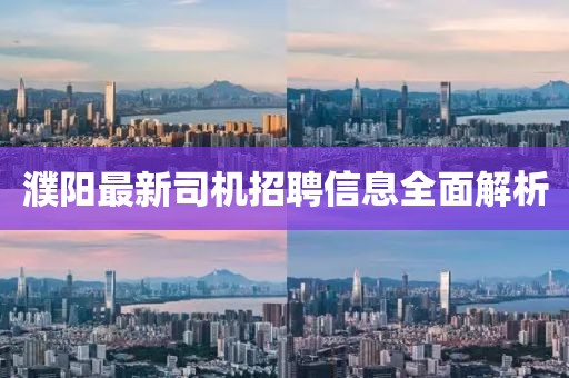 濮陽(yáng)最新司機(jī)招聘信息全面解析