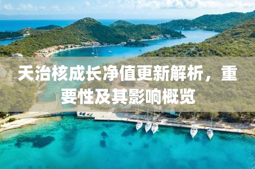 天治核成長(zhǎng)凈值更新解析，重要性及其影響概覽