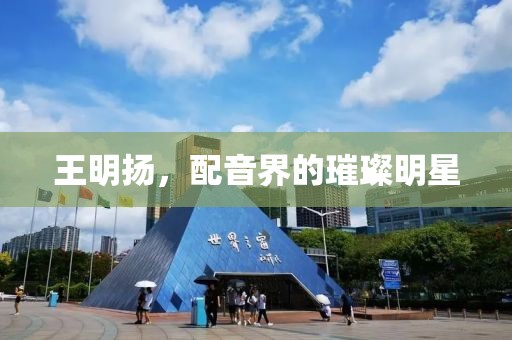 王明揚(yáng)，配音界的璀璨明星
